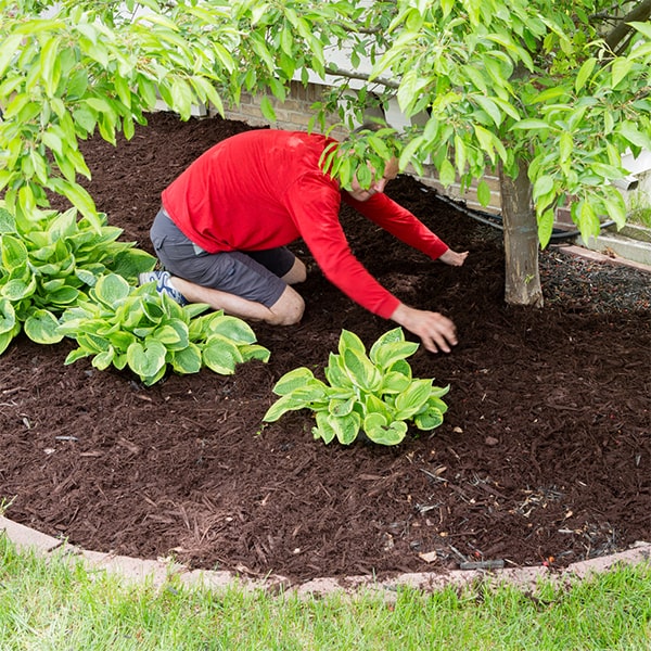 mulch installation helps retain moisture, regulate soil temperature, and suppress weed growth in your garden or landscaping